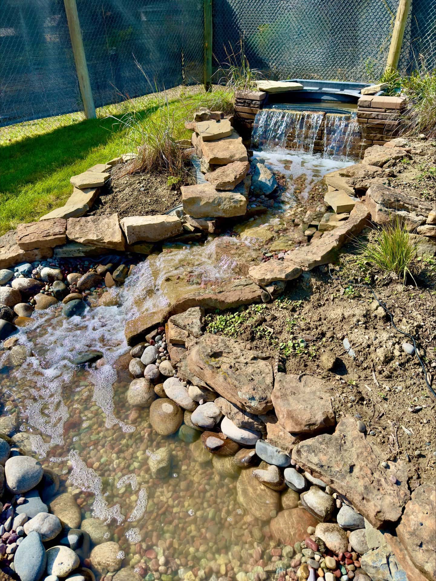 The Garden of Hope is a healing space at Rimrock Foundation where recovery, reflection, and renewal take root